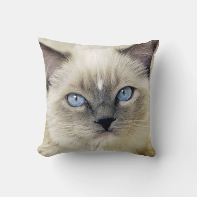 Ragdoll kitten throw pillow (Front)