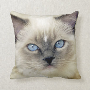 Ragdoll kitten throw pillow