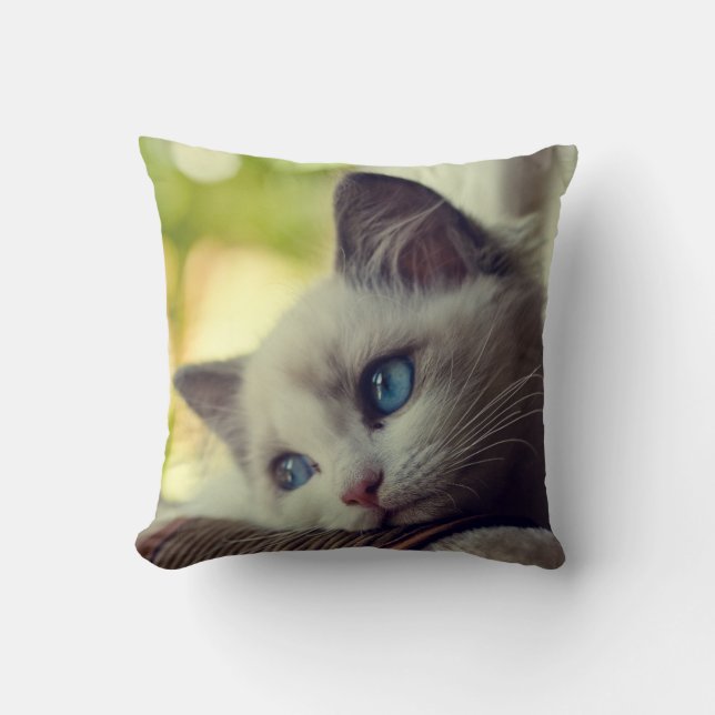 Ragdoll Kitten Throw Pillow (Front)