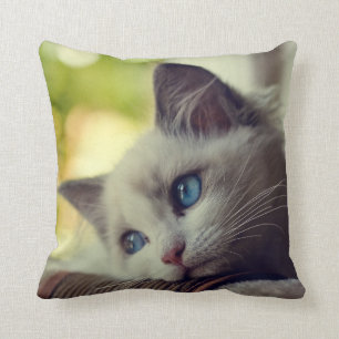 Ragdoll Kitten Throw Pillow