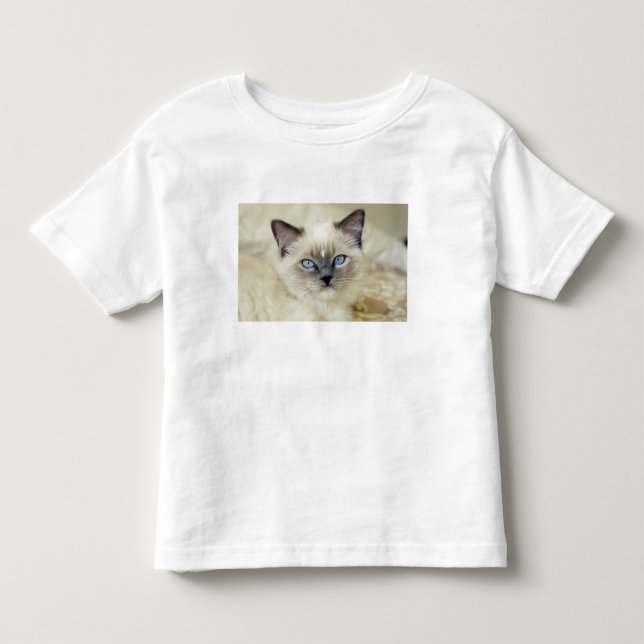 Ragdoll kitten toddler t-shirt (Front)