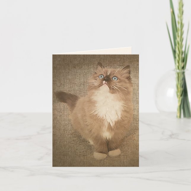 Ragdoll Kitten Watercolor Thank You Card (Front)
