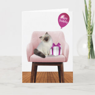 Ragdoll Kitten With Birthday Gift Card