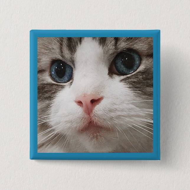 Ragdoll Kitty 2 Inch Square Button (Front)