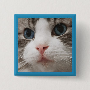 Ragdoll Kitty 2 Inch Square Button