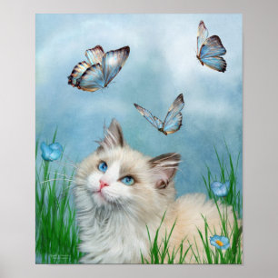 Ragdoll Kitty And Butterflies Art Poster/Print Poster