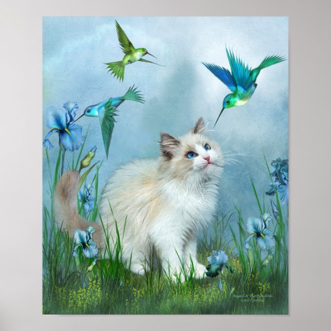 Ragdoll Kitty And Hummingbirds Art Poster/Print Poster (Front)