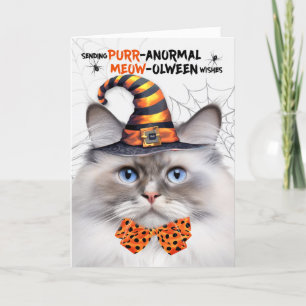 Ragdoll Lilac Point Cat PURRanormal MEOWolween Holiday Card