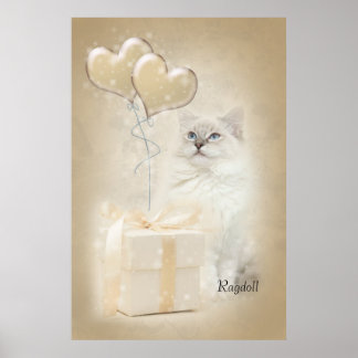 Ragdoll poster