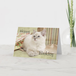 Ragdoll with giftbags birthday card