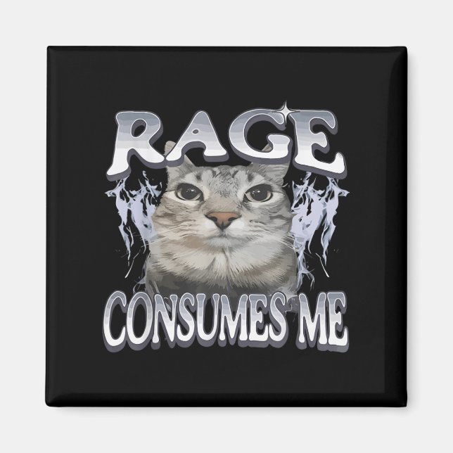 Rage Consumes Me Funny Silly Staring Cat Meme Wome Magnet (Front)