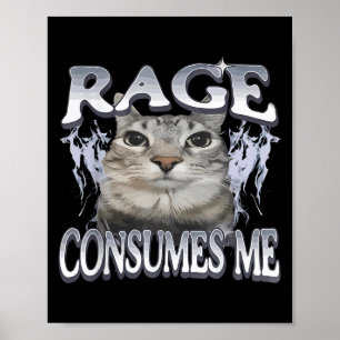 Rage Consumes Me Funny Silly Staring Cat Meme Wome Poster