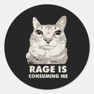 Rage Is Consuming Me Angry Cat Meme Sarcasm Funny Classic Round Sticker