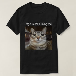 Rage Is Consuming Me Cat Meme Shirt