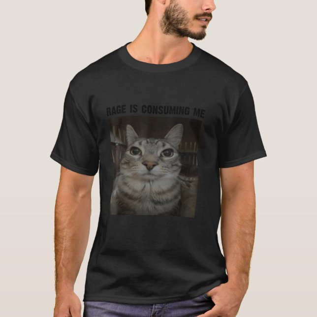 Rage Is Consuming Me Cat Silly Staring Cat Funny C T-Shirt (Front)