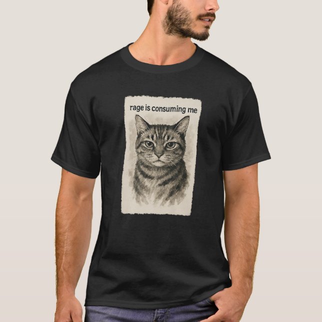 Rage is Consuming Me Funny Silly Staring Cat Meme  T-Shirt (Front)