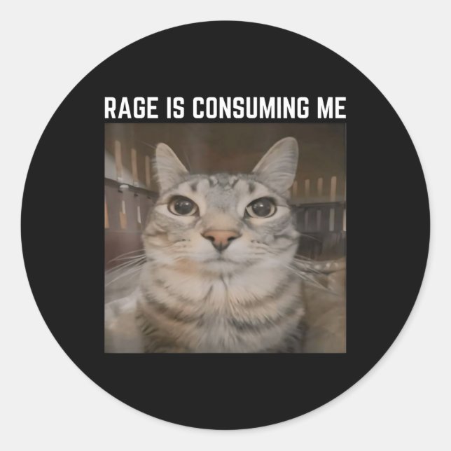 Rage Is Consuming Me Meme Cat Meme Oddly Specific  Classic Round Sticker (Front)