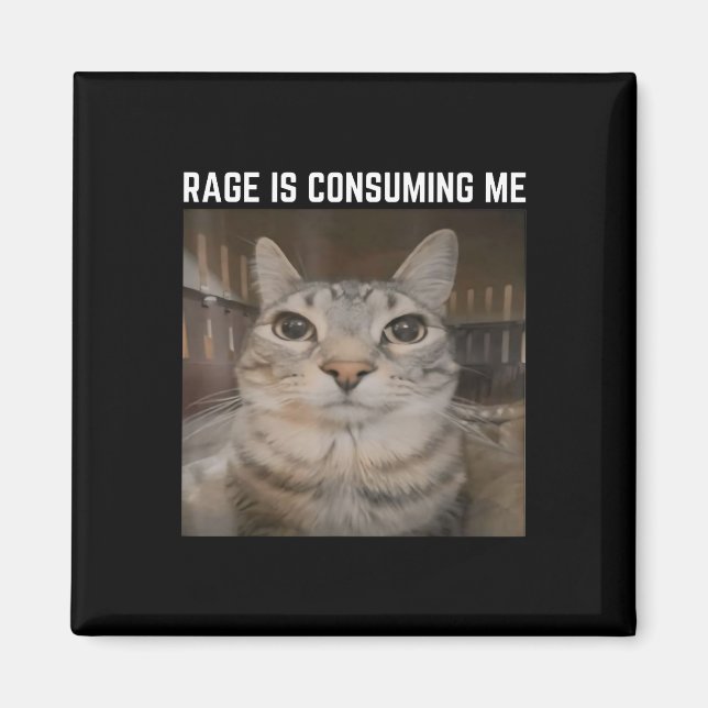 Rage Is Consuming Me Meme Cat Meme Oddly Specific  Magnet (Front)