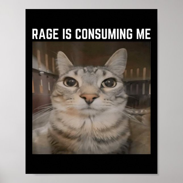 Rage Is Consuming Me Meme Cat Meme Oddly Specific  Poster (Front)