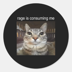 Rage Is Consuming Me Silly Staring Cat Meme Classic Round Sticker