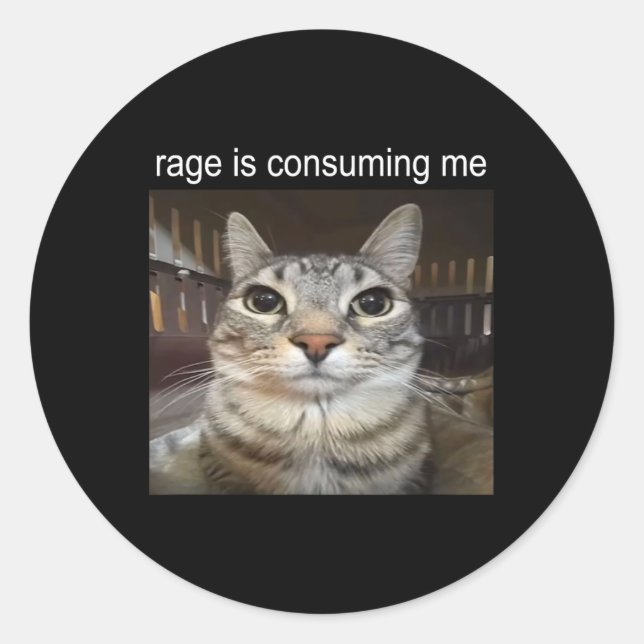 Rage Is Consuming Me Silly Staring Cat Meme  Classic Round Sticker (Front)
