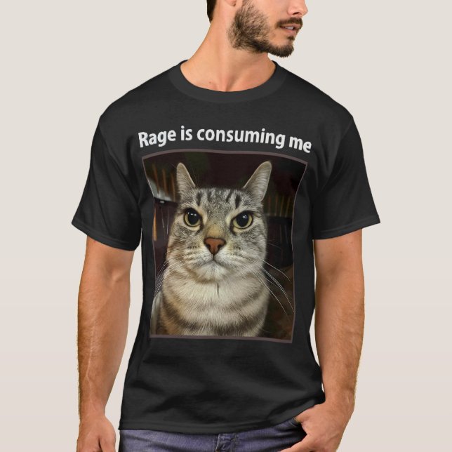 Rage Is Consuming Me Silly Staring Cat Meme Funny  T-Shirt (Front)