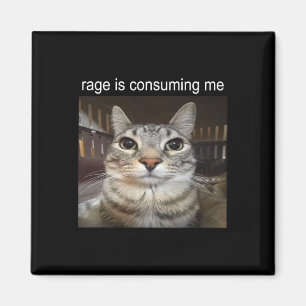 Rage Is Consuming Me Silly Staring Cat Meme Magnet