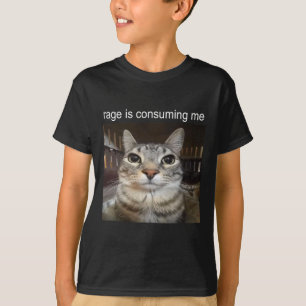 Rage Is Consuming Me Silly Staring Cat Meme  T-Shirt