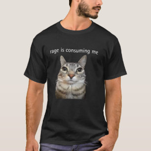 Rage Is Consuming Me Silly Staring Cat Meme T-Shirt
