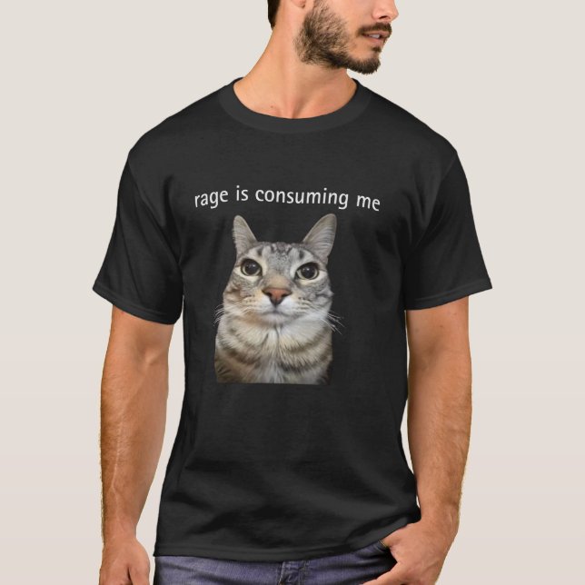 Rage Is Consuming Me Silly Staring Cat Meme T-Shirt (Front)