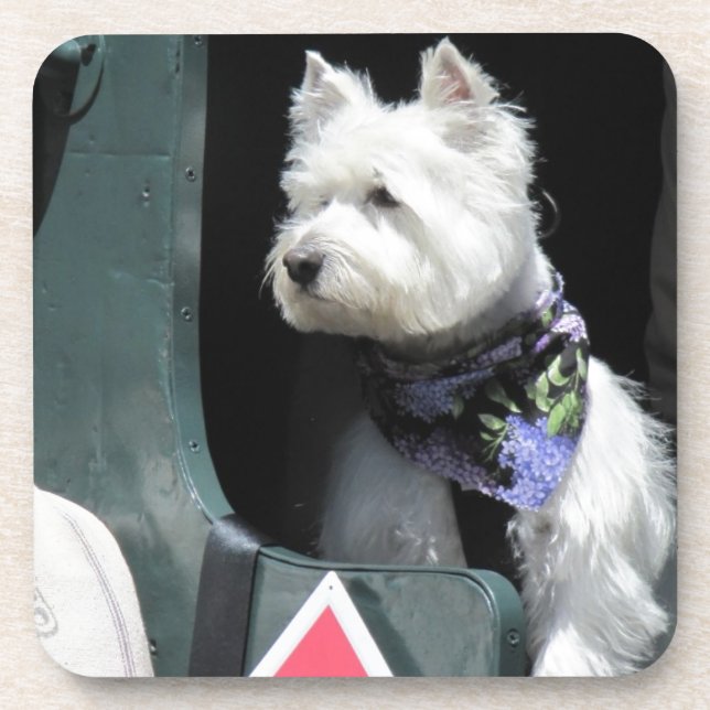 Railroad Terrier Dog Coaster (Front)