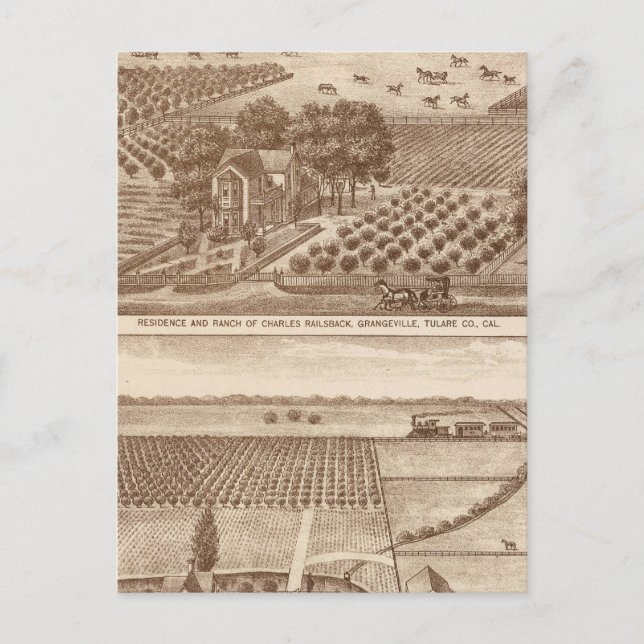 Railsback, Hackett ranches Postcard (Front)