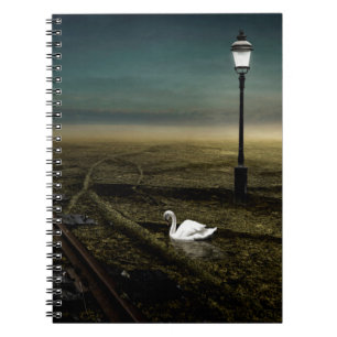 Railway 2013 notebook