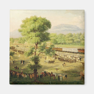Railway in the Valley of Mexico, 1869 Magnet
