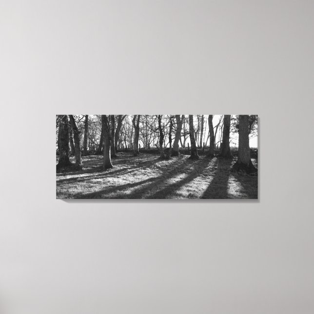 Railway Trees Canvas Print (Front)