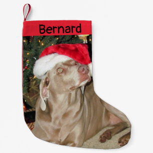 Rain Cute Weimaraner Dog - Personalized Small Christmas Stocking