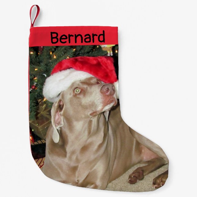 Rain Cute Weimaraner Dog - Personalized  Small Christmas Stocking (Front)