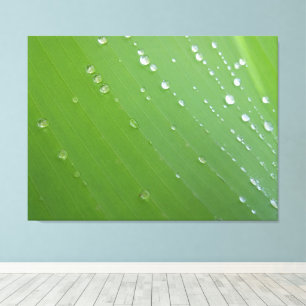 Rain Drops of Life on Emerald Leaf Photography Canvas Print