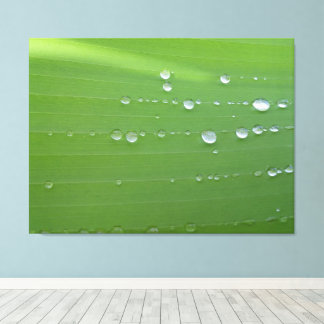 Rain Drops on Green Leaf Photography Canvas Print