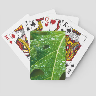 Rain Drops on Green Papaya Leaf Playing Cards
