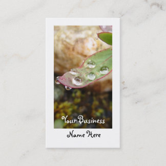 Rain Drops on Leaf Business Card