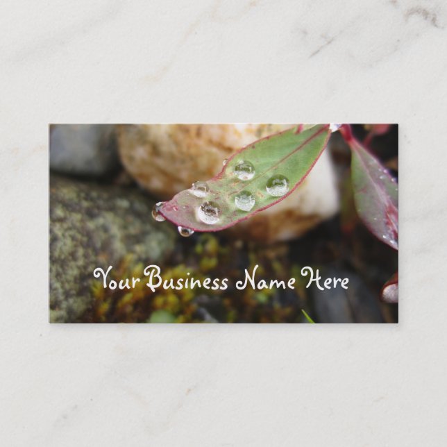 Rain Drops on Leaf Business Card (Front)