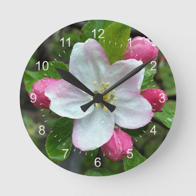 Rain drops on little flower round clock (Front)