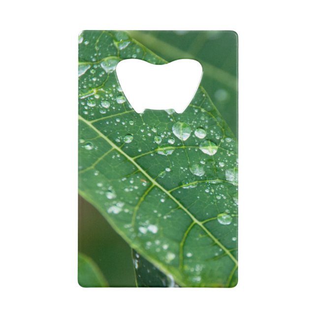 Rain Drops on Papaya Leaf Credit Card Bottle Opener (Front)