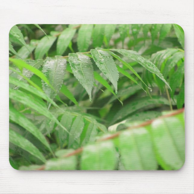 Rain Drops On Sumac Leaves Mouse Pad (Front)