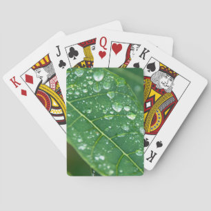Rain Drops on Tropical Papaya Leaf Playing Cards