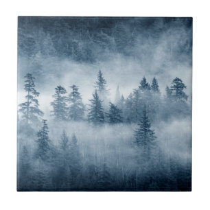 Rain Forest Clouds in the Pacific Northwest Tile