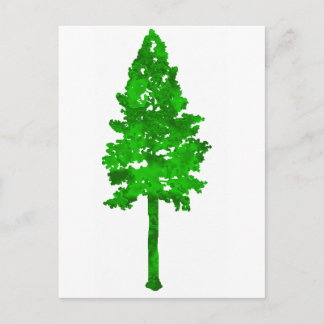 Rain forest green postcard
