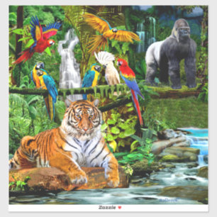 RAIN FOREST WILDLIFE