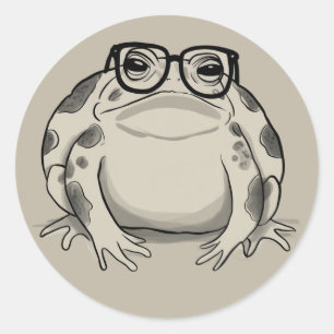 Rain Frog Lover Desert Rain Gift Funny Animal Classic Round Sticker